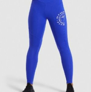COPY - Gymshark legacy fitness panel leggings